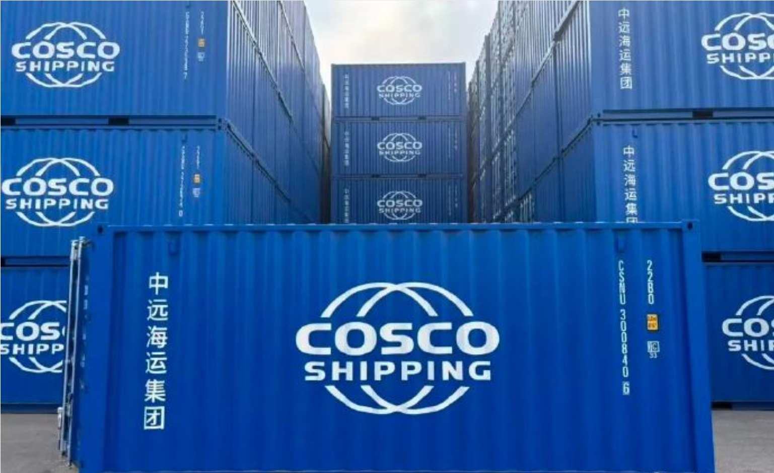 AG真人·(中国)官方网站