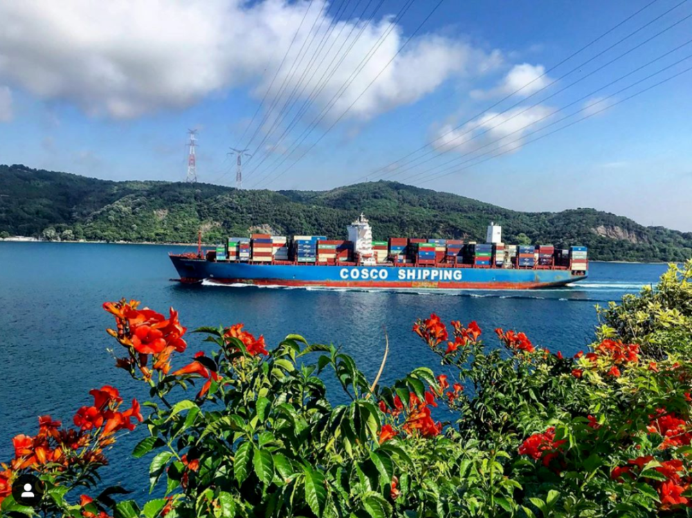 AG真人·(中国)官方网站